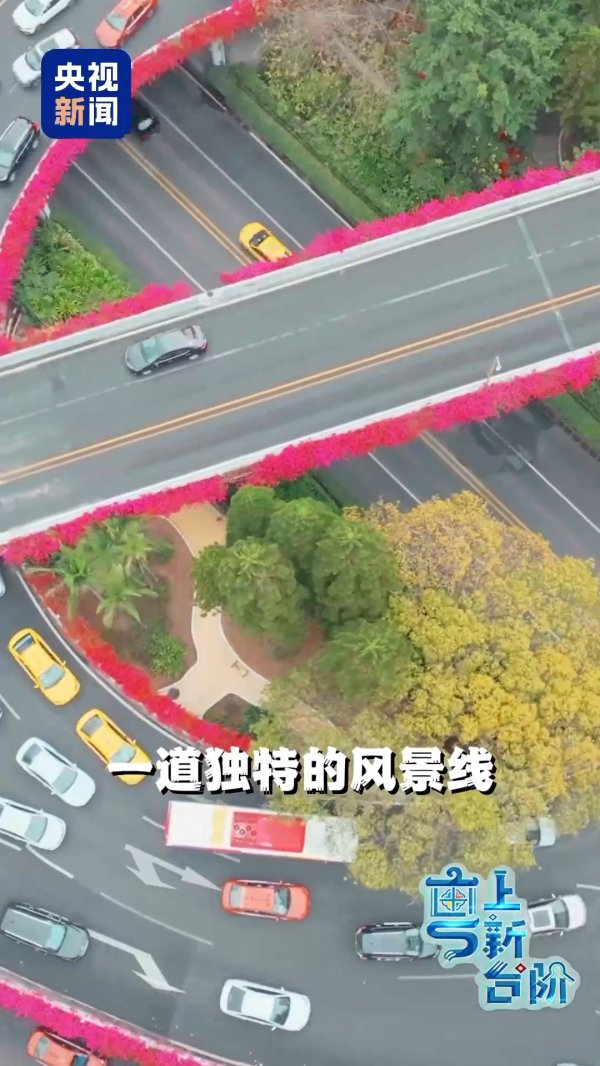 股升网 “粤”上新台阶丨春天花会开 但什么花能开一年四季?