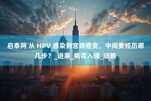 启泰网 从 HPV 感染到宫颈癌变，中间要经历哪几步？_进展_病毒入侵_细胞